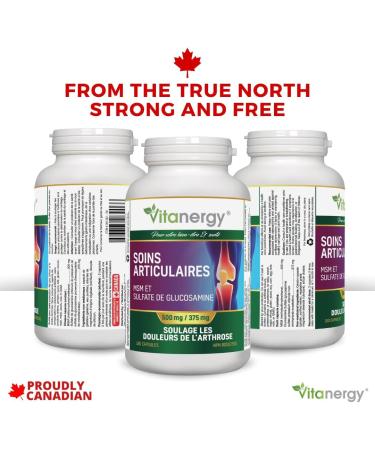 Vitanergy Joint Pain Relief - High Potency MSM & Glucosamine Supplement - Arthritis Relief Formula - 180 Capsules - Non-GMO Dairy-Free Clean Ingredients - Made in Canada - 1.5 Month Supply - Buy Online on GoSupps.com