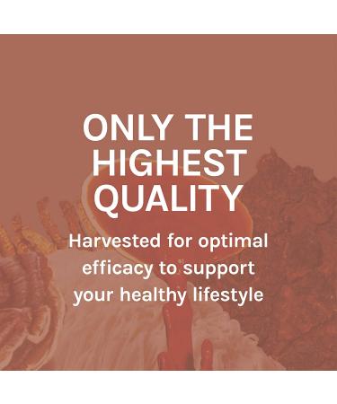 Fungi Perfecti Myco Botanicals Liver Support - 60 Vegan Capsules for Liver Health - Buy Online on GoSupps.com