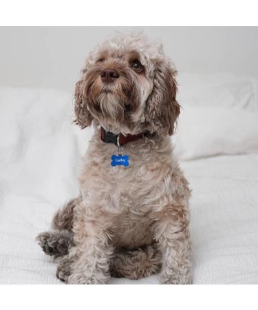 ENGRAVO Dog Tag Bone Blue - Personalized 32mm Engraved Pet ID Tag with 2 Key Rings for Small Dogs - International Shipping - Buy Online on GoSupps.com