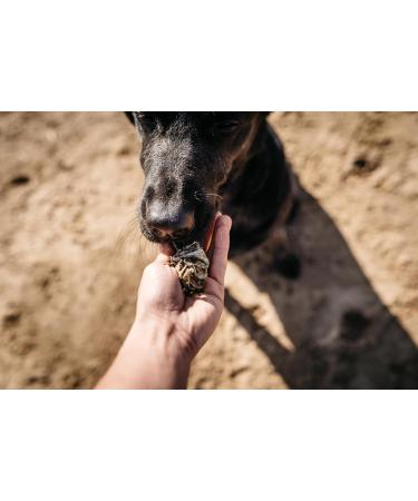 Fish4Dogs Sea Jerky Tiddlers 575g | Low Calorie Hypoallergenic Puppy Treat | Natural Baked Fish Skin Dental Treat - Buy Online on GoSupps.com