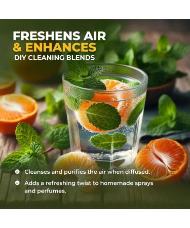 Clementine Essential Oil 100% Pure & Natural | Steam Distilled from Citrus Nobilis Peel | Fresh Citrus Aroma for Diffuser Massage & Skincare | Uplifting & Invigorating | Made in Italy | 15ml Fresh citrus aroma 0.5 Fl Oz  - Buy Online on GoSupps.com