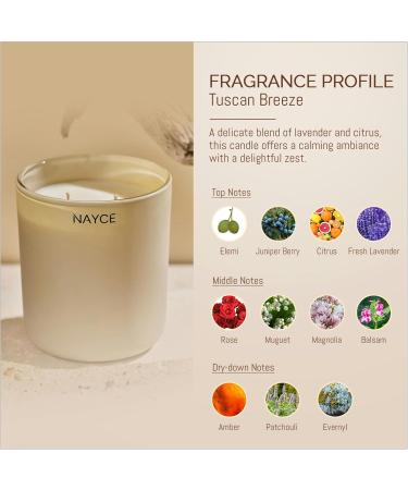 NAYCE Luxury Scented Candle - 100% Natural Soy Wax Aromatherapy - 14 oz - Made in USA - Long Lasting Highly Scented Birthday & Housewarming Gifts for Women - Lavender Limoncello - Buy Online on GoSupps.com