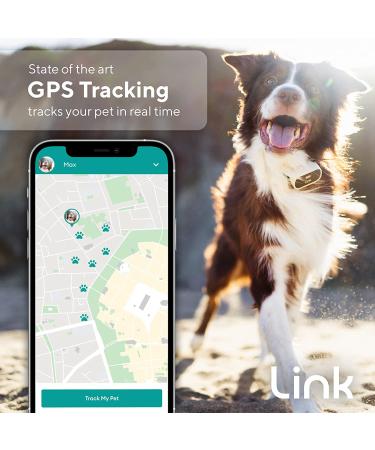 GPS Dog Tracker + Activity Monitor with Training Tools | Waterproof & Lightweight | PetPass & Vet Record Storage | Fits Most Collars | iPhone & Android Apps - Buy Online on GoSupps.com