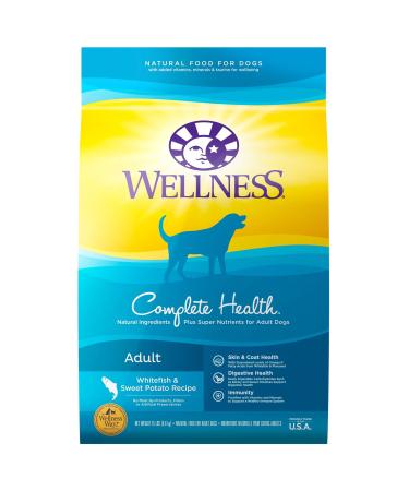 Wellness Complete Health Dry Dog Food with Grains, Natural Ingredients, Made in USA with Real Meat, All Breeds, for Adult Dogs (Chicken, Healthy Weight, Lamb, and Whitefish) Whitefish & Sweet Potato 15 Pound (Pack of 1)