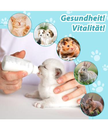60ml Cat & Dog Breeding Bottle - Rearing Milk Feeder for Puppies & Kittens - Silicone Baby Bottle with Nipple Brush Set - International Shipping Available - Buy Online on GoSupps.com