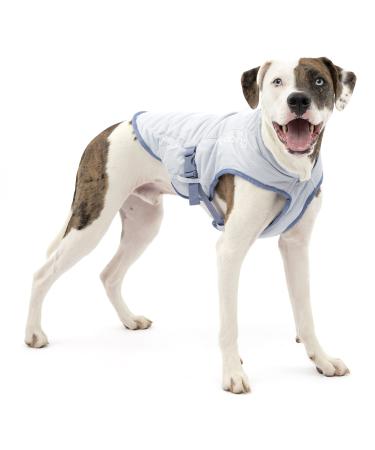 Kurgo Core Cooling Vest for Dogs, Dog Cooling Jacket, Evaporation Cooler Coat for Pets, Reflective Material, Adjustable Straps, Leash Attachment Opening, ICY/Storm Blue, Medium Medium 1