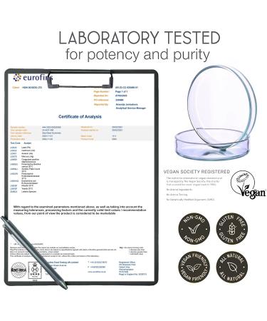 Organic Irish Sea Moss Gummies with Bladderwrack & Burdock Root 2840 Mg - 60 Gummies | Apple Flavour | Vegan, Gluten-Free, Non-GMO | Vitamins & Minerals | High Strength Formula - Buy Online on GoSupps.com