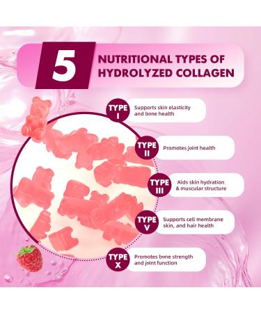 2 Pack Hydrolyzed Collagen Peptides Gummies for Women & Men Multi-Collagen Type I II III V X with Biotin Hyaluronic Acid Zinc Vitamin C E - Skin Hair Nails Raspberry Flavor 120 Count 60 Count (Pack of 2) - Buy Online on GoSupps.com