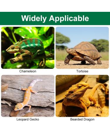 Amfun Reptiles Carpet 45x200cm - Non-Slip PVC Bed Linen for Terrarium | Ideal for Lizards Chameleons Turtles Iguanas & Bearded Dragons (Green) - Buy Online on GoSupps.com