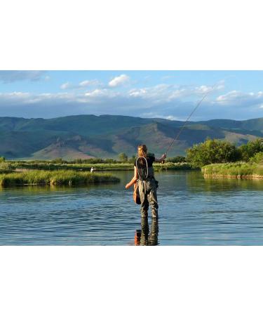 Blue Winged Olive BWO Trout Dry Fly Fishing Flies - Set of 6 (Size 20) - Buy Online on GoSupps.com