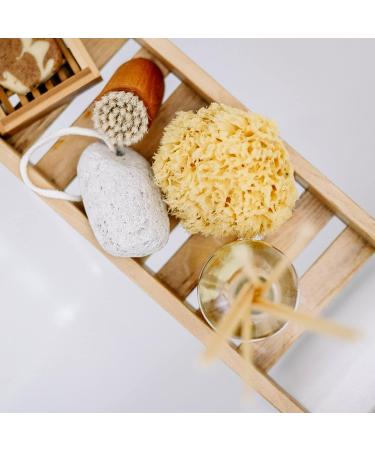 Buy CROLL & DENECKE 18 cm Natural Sponge | Eco-Friendly & Durable | Worldwide Shipping - Buy Online on GoSupps.com