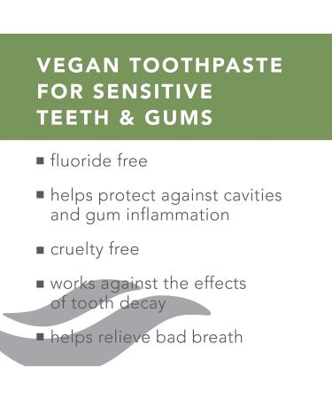 Dentissimo Vitamin B12 Toothpaste | Vegan Strong Mint - Black Anthracite | International Shipping - Buy Online on GoSupps.com