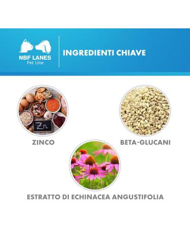 NBF Lanes | Zincogen Pet Immuno Dog 60 Tasty Tablets for the normal functioning of the Dog's Immune System - Buy Online on GoSupps.com