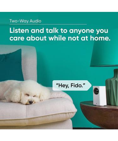 Wyze Cam v2 1080p Pan/Tilt/Zoom Wi-Fi Camera | Color Night Vision, 2-Way Audio | Alexa & Google Assistant Compatible (White) - Buy Online on GoSupps.com