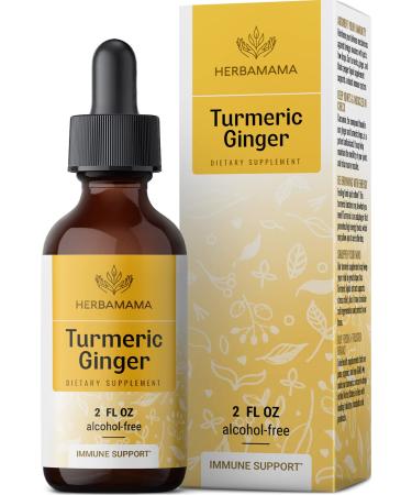 Turmeric Ginger Drops - Organic Turmeric Ginger w/Black Pepper Tincture - Turmeric Ginger Liquid Extract - Vegan Supplements - 2 fl oz