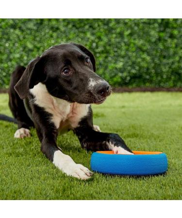 Chuckit! CH252101 Fetch Wheel Small - Durable Dog Toy for Fetching Fun | International Shipping Available - Buy Online on GoSupps.com
