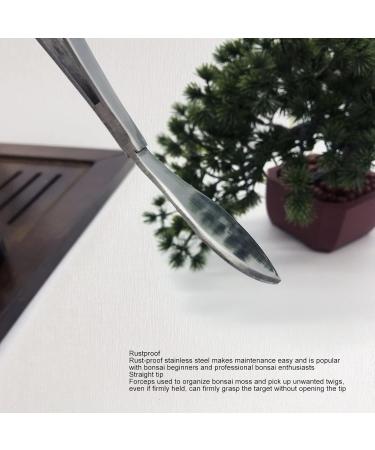 Asixxsix Stainless Steel Bonsai Tweezers & Spatula | Professional Gardening Cooking & Lab Tools - Buy Online on GoSupps.com
