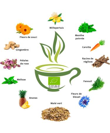 VITSTORM Slim Yerba Mate BIO Digestive - Pour le Transit Intestinal Ballonnements - Th en Vrac 100g SLIM TEA - Yerba Mate Bio Digestive - Buy Online on GoSupps.com