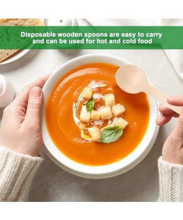 Disposable Wooden Spoons 50 pcs Wooden Cutlery Spoon Compostable for Ice Cream Cake Dessert Spoons (3.94 inches) - Buy Online on GoSupps.com
