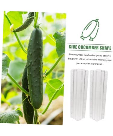 Milisten 10 Pcs Vegetable Shaping Fruit Cucumber Garden Vegetable Gourd Suite - Buy Online on GoSupps.com