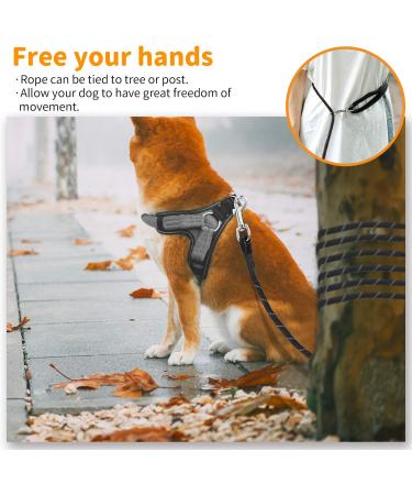 Pettom Reflective Dog Leash - 5m Training Line with Hand Loop & 2 Carabiners for Small to Medium Dogs - Durable Black Rope Leash - Buy Online on GoSupps.com