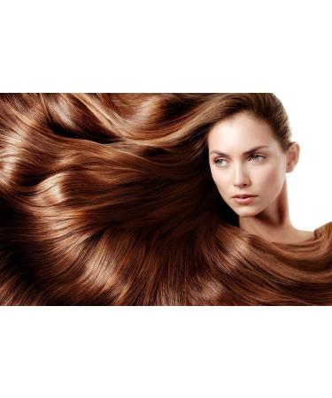 PostQuam Professional Anti Hair Loss Shampoo 500ml | Spanish Regrowth Treatment | Nourishes & Strengthens Hair | Placenta Extract - Buy Online on GoSupps.com