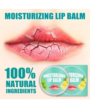 Lip balm moisturizing natural plant extract and vitamin E moisturizing lip cream for lip repair and treatment soothes and colors lips nourishing - Buy Online on GoSupps.com