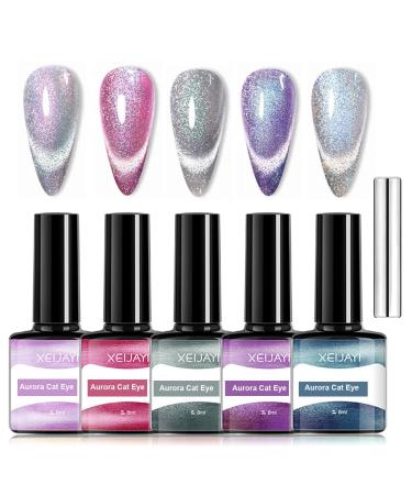 Holographic Glitter Gel Nail Polish - Cat Eye Gel Polish Kit with Magnet - 5 Colors Glitter Phantom Chameleon Magnetic Gel Nail Varnish - Soak Off UV Gel Nail Polish Home DIY Manicure