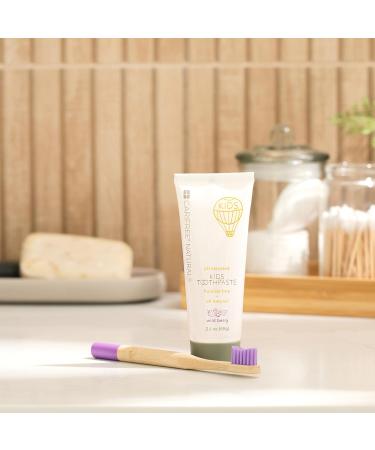CariFree Naturals Kids Toothpaste | Fluoride-Free 40% Xylitol Organic Wild Berry Flavor pH Elevated Safe if Swallowed Sugar-Free 2.4 oz Dentist Developed (Pack of 4) Wild Berry 2.4 Ounce (Pack of 4) - Buy Online on GoSupps.com