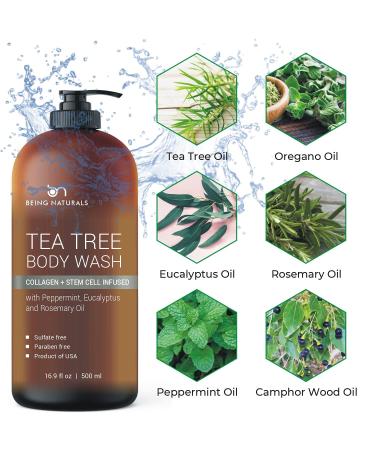 Tea Tree Body Wash with Stem Cell, Collagen & Tea Tree Oil - Fights Body Odor, Acne, Athlete's Foot, Jock Itch, Dandruff, Eczema, Yeast Infection - Shower Gel for Women & Men - Skin Cleanser 16.9 oz - Buy Online on GoSupps.com