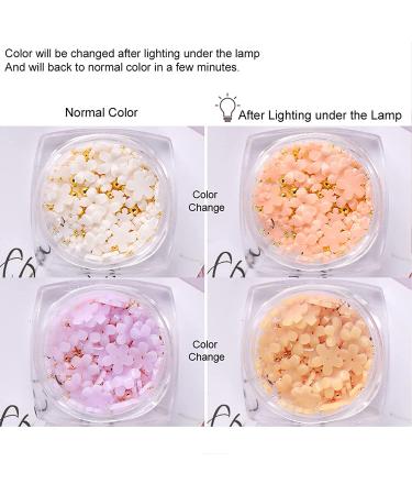 6 Boxes 3D Flower Nail Art Charms with Light Change Decals - Acrylic Nail Accessories with Pearl Golden Caviar Beads Glitter Stud Design - DIY Decoration Tips for Women - Buy Online on GoSupps.com