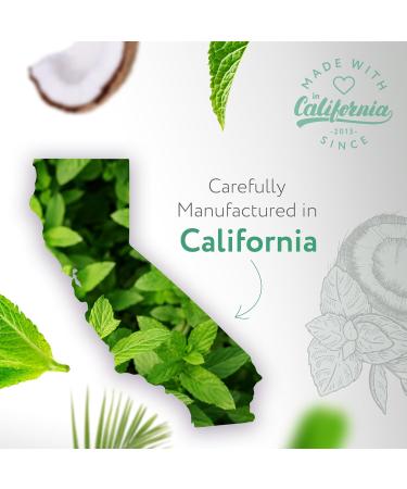 HBNO Swish & Shine Organic MCT + Peppermint Pulling Oil - Huge 8 oz (240ml) Value Size - Ideal for Everyday use as a Mouth freshener Organic MCT + Peppermint Pulling 8 Fl Oz (Pack of 1) - Buy Online on GoSupps.com