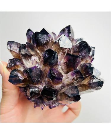 1Pcs Natural Purple Ghost Phantom Quartz Crystal Cluster Rock Stones and Crystals Reiki Specimen Home Deco Crystal Cluster (Color : 300-350g) - Buy Online on GoSupps.com