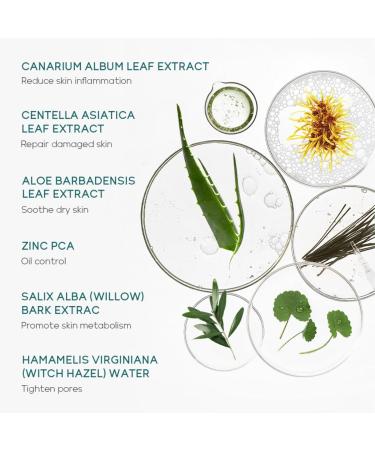 Tea Tree Skin Care Set for Teen Girls | 5PCS Skincare Gift Set with Cleanser Toner Serum & Acne Gel Moisturizing Travel Essentials - Buy Online on GoSupps.com