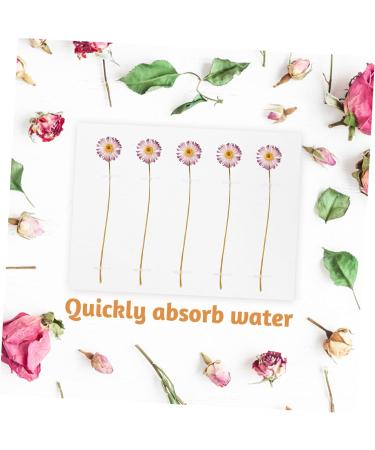 FRCOLOR Dried Flower Embossed Paper Preservation Kit for Oily Skin - 12 pcs Book Press Blotting Paper Set with Herbarium Perforation - White (Pack of 2) - Buy Online on GoSupps.com