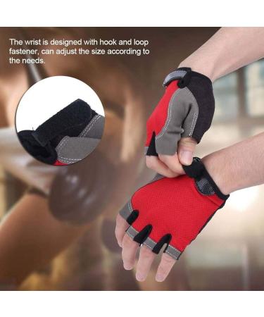 Anti-Slip Half-Finger Cycling Gloves | Wear-Resistant Outdoor Exercise Gloves | Size L - Buy Online on GoSupps.com