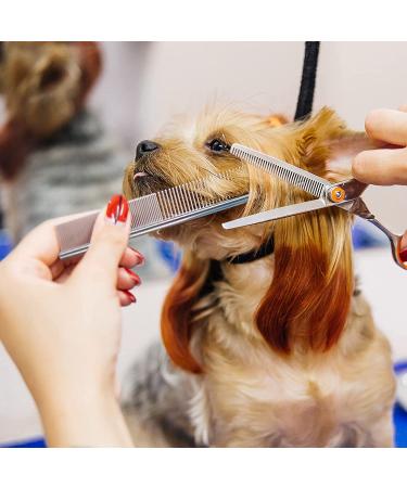 Cat Grooming Combs Set - Stainless Steel Double Sided Pet Comb for Tear Stain Removal and Massage | 7 Pieces Pet Supplies for Cats and Puppies - Buy Online on GoSupps.com