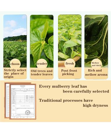 Mulberry Leaves Tea Natural Mulberry Leaf Tea 240g/8.5OZ Mulberry Dried Leaves Sang Ye Tea Mulberries Loose Leaf Tea Dried Herbal Tea Caffeine-free No Additives  - Buy Online on GoSupps.com