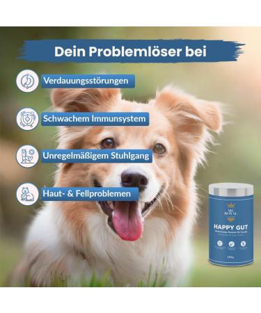 MC-Royal Digestive Snacks for Dogs - 100% Natural Probiotic Treats | Support Dog Intestinal Flora | 250g Pack - Buy Online on GoSupps.com
