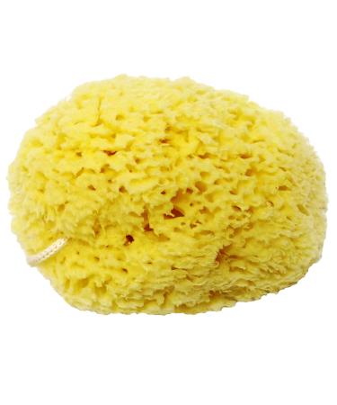 Honeycomb Natural Sea Sponge - Strong and Durable - Suitable for Both Children and Adults for use in Bathing Cleansing exfoliating and applying Cosmetics 13 cm