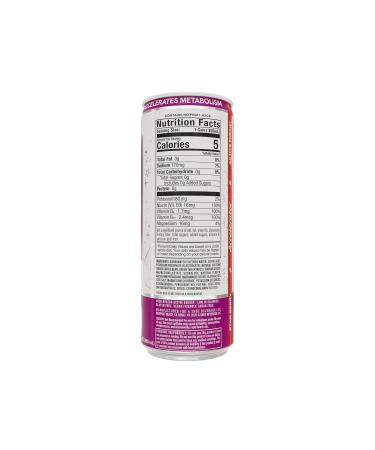 Buy A SHOC Accelerator Star Berry Energy Drink - 12 fl oz Can (Pack of 12) | Fast International Shipping - Buy Online on GoSupps.com