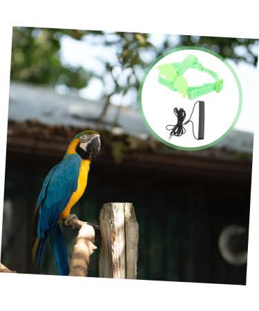 Beavorty 2 Sets Bird Leash Lizard Leash Pet Bird Harness and Leash Chicken Harness for Birds Parrot Bird 12X6X1.3CMx2pcs Greenx2pcs - Buy Online on GoSupps.com