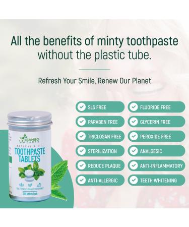 200 Pack Natural Toothpaste Tablet Bits - Chewable Mouthwash Whitening Bite Tablets for Teeth SLS & Fluoride Free Eco & Travel Friendly - Zero Waste Packaging - Mint & Activated Charcoal (Peppermint) - Buy Online on GoSupps.com
