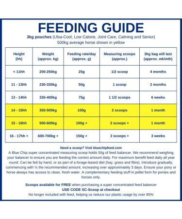 Blue Chip Joint Care Feed Balancer 3kg - Super Concentrated Horse Feed with Turmeric, Glucosamine & Natural Oils - Low Starch/Sugar & Molasses Free - Buy Online on GoSupps.com