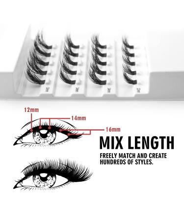 Eyelash Evolution DIY Extension Korean PBT Fiber 3D Effect Mixing Length - Reusable 20 Lash Clusters for Volume Look - 12mm 14mm 16mm - Multi-pack 20pcs - Buy Online on GoSupps.com