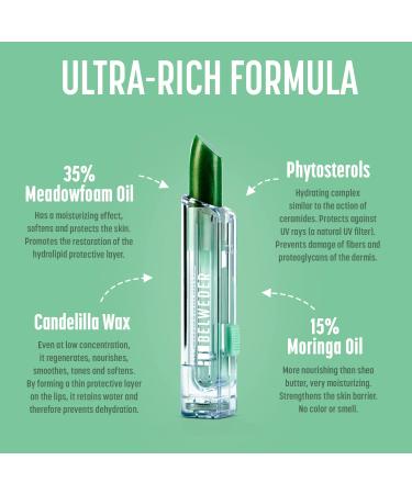 Belweder Revitalizing Lip Balm with Phytosterols - Protective Moisturizing Calming - Green Kam l on Balm (2 x 3.5g) - International Shipping Available - Buy Online on GoSupps.com