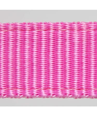 Buy PFIFF 102920 Joky Halter for Shetty - Nylon Pink Pasture Paddock No Fittings | International Shipping - Buy Online on GoSupps.com