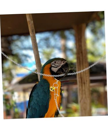 COSMEVIVI 1 Set Parrot Leash Chain Parrot Harness Chain Bird Flying Harness Silver - Buy Online on GoSupps.com