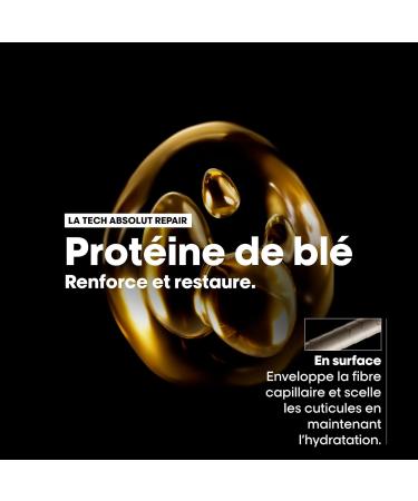 L'Or al Professionnel Absolut Repair Gift Set Repairing Routine Dry & Damaged Hair 10-In-1 Shampoo + Mask + Oil Trio Serie Expert Limited Edition - Buy Online on GoSupps.com