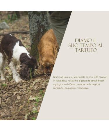 Chips Rustiques Truffe Noire et Sel Marin 45g | Lot de 6 | Produit en Italie - Buy Online on GoSupps.com